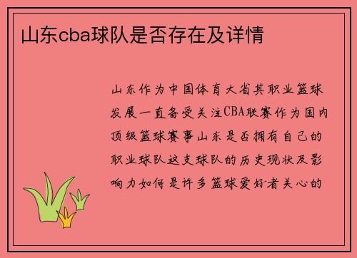 山东cba球队是否存在及详情
